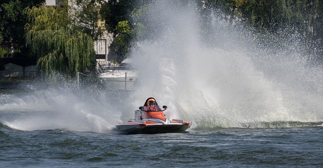 无论是赞美 无论是赞美