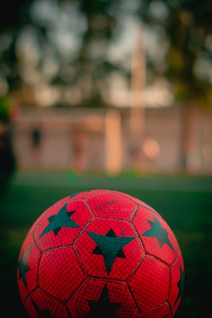 双星加盟 双星加盟