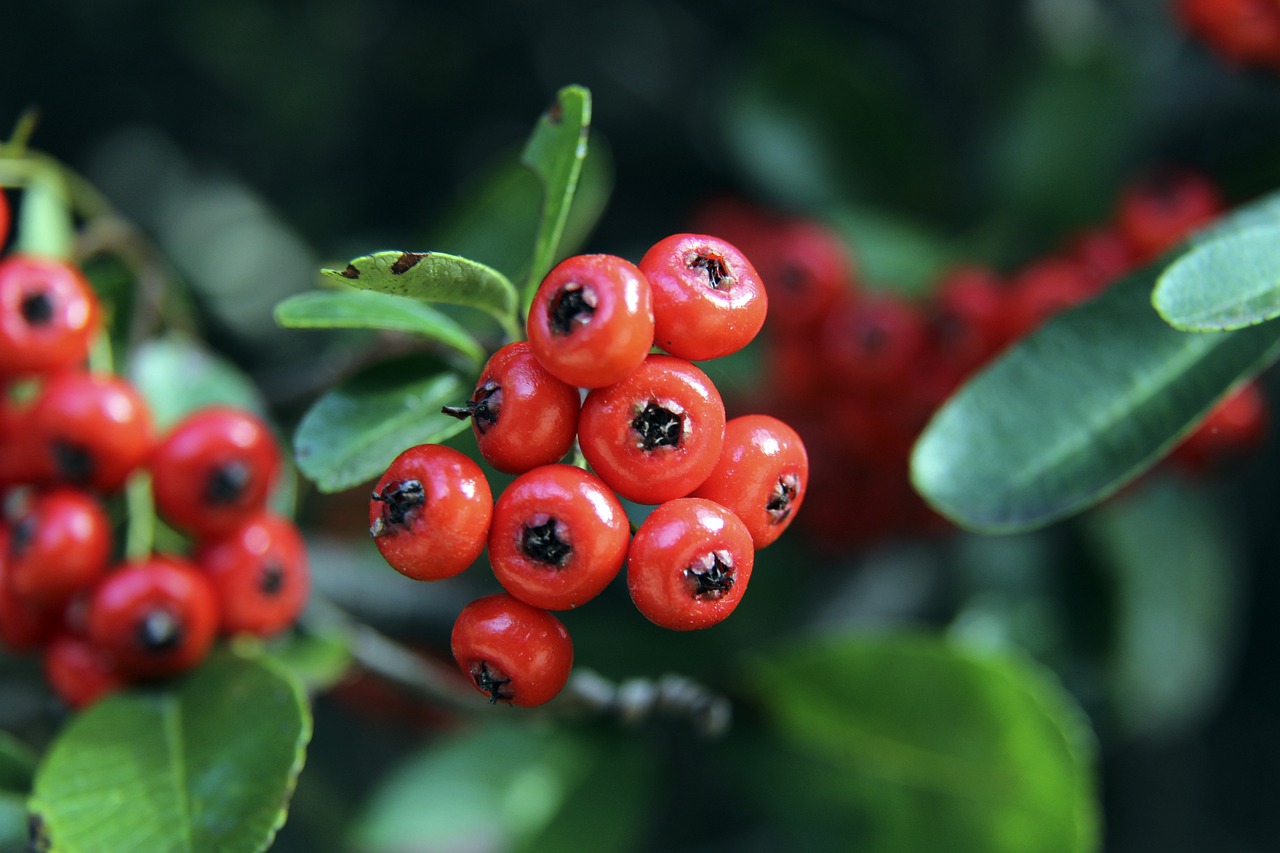 还是重庆铜 还是重庆铜