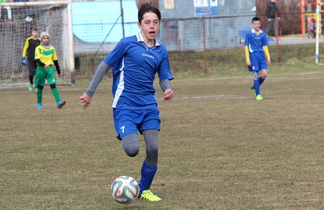 莱万的智慧 莱万的智慧