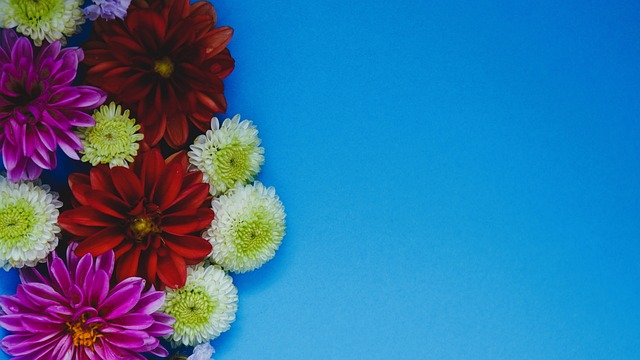 慧商业策略 慧商业策略