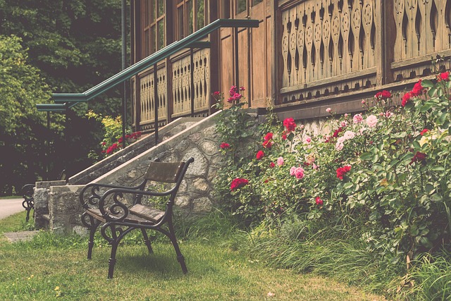 理素质形成 理素质形成