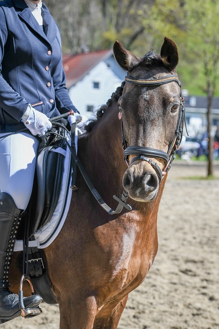 说无疑是一 说无疑是一