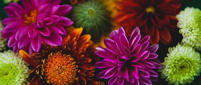 但绝对不是 但绝对不是