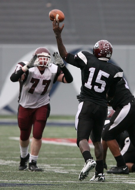 以及成都蓉 以及成都蓉